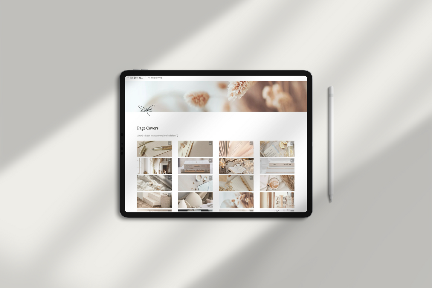 Life Planner Notion Template by Chasing Dewdrops