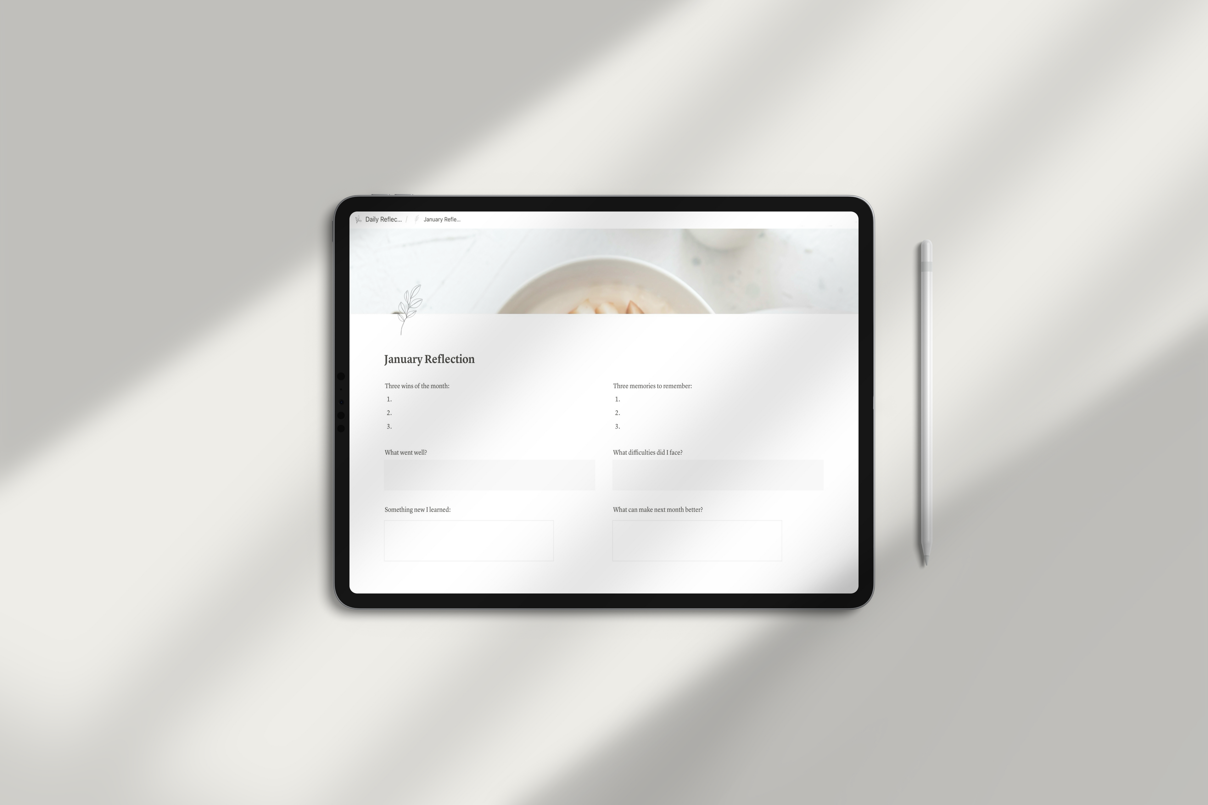 Daily Reflection Notion Template by Chasing Dewdrops