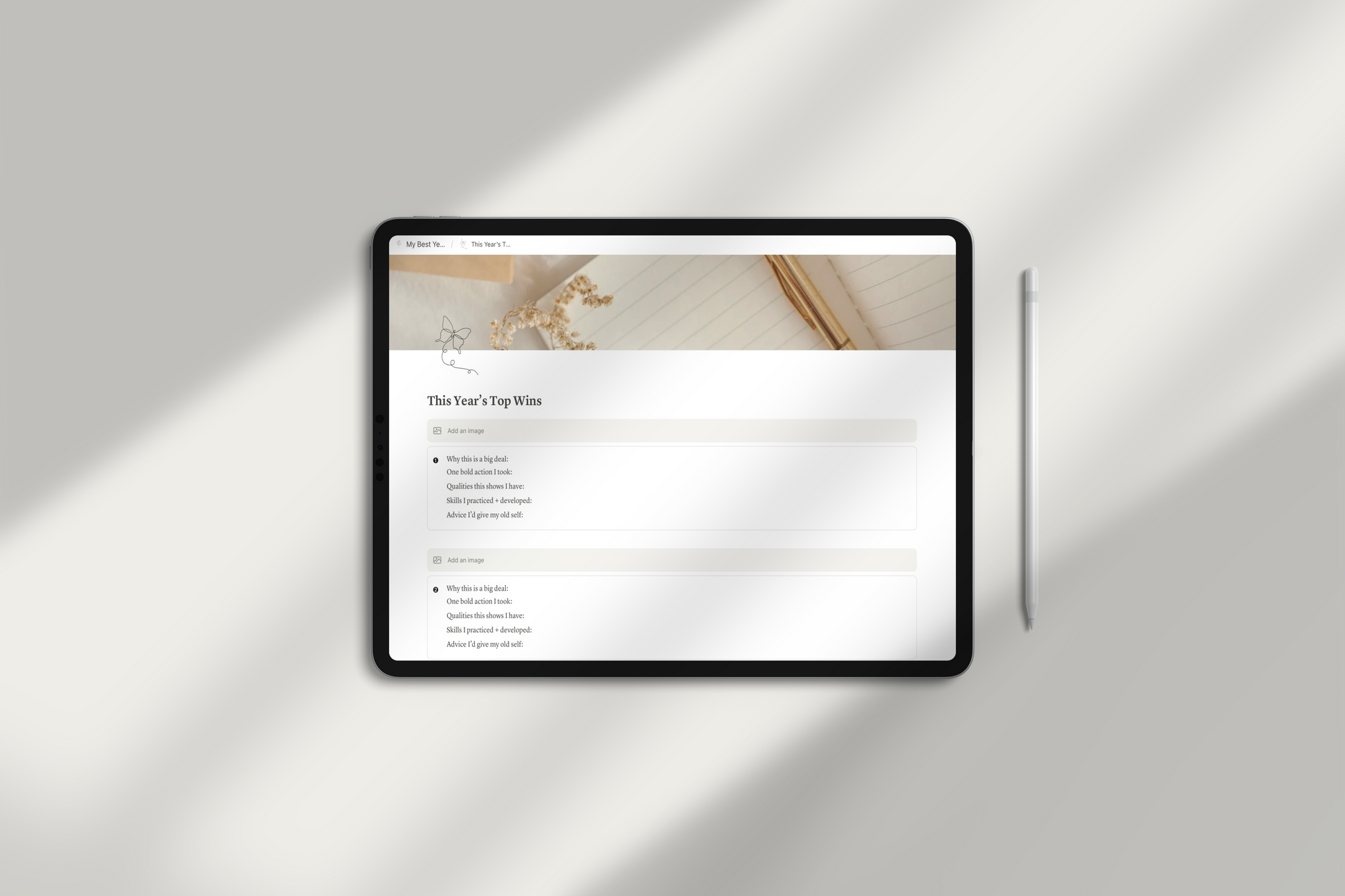 Life Planner Notion Template by Chasing Dewdrops